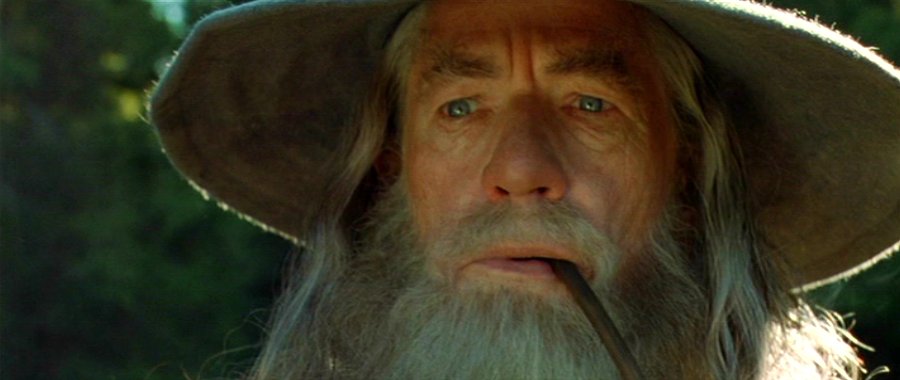 Gandalf the Grey